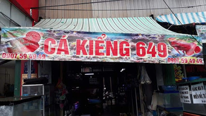 Cửa hàng cá cảnh 649 TL10 - Bình Tân, 649 Tỉnh Lộ 10, Phường Bình Trị Đông B, Quận Bình Tân, Thành phố Hồ Chí Minh
