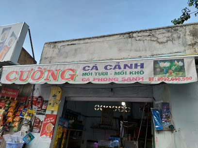 Cửa hàng cá cảnh Cường - Phú Nhuận, 468 Nguyễn Kiệm, Phường 3, Quận Phú Nhuận, Thành phố Hồ Chí Minh