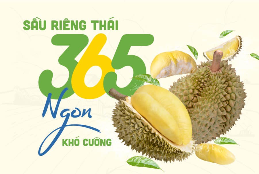 Địa chỉ bán Sầu Riêng Chín Cây 365 Xuất Khẩu, 328B Nguyễn Thượng Hiền, Phường 5, Quận Phú Nhuận, 328B Nguyễn Thượng Hiền, Phường 5, Quận Phú Nhuận, Thành phố Hồ Chí Minh