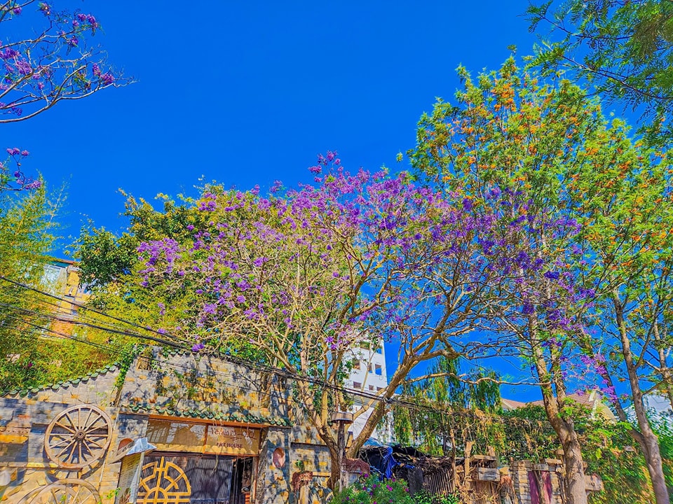Crown Dalat Hotel, 08 Nguyễn Trãi, Phường 10, Thành phố Đà Lạt, Tỉnh Lâm Đồng