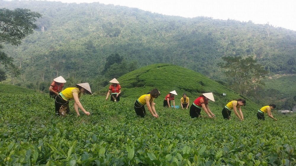 La Bằng homestay, Xóm Rừng Vần , Xã La Bằng, Huyện Đại Từ, Tỉnh Thái Nguyên